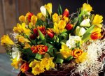 Бесплатно собрать пазл - Весенние цветы