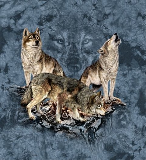 Скрытые образы  - Головоломка от Стивена Гарднера - Отыщите всех животных и их образы